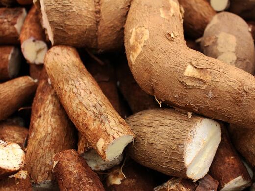 Cassava, the root used to make garri